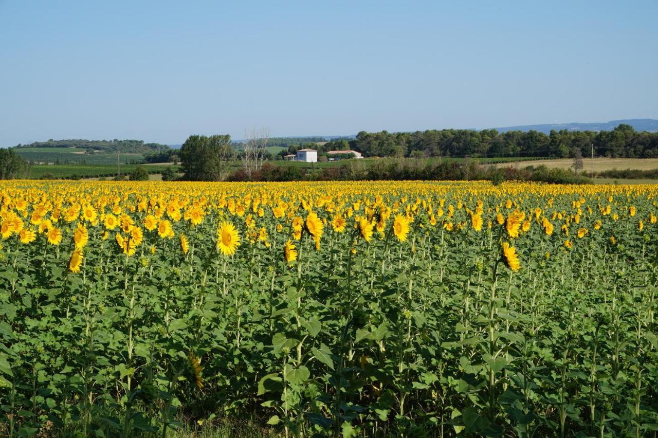 Le Clos Des Troubadours Pennautier Exteriér fotografie