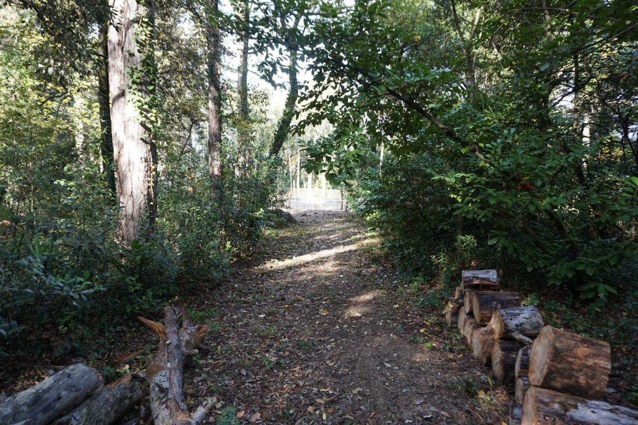 Le Clos Des Troubadours Pennautier Exteriér fotografie