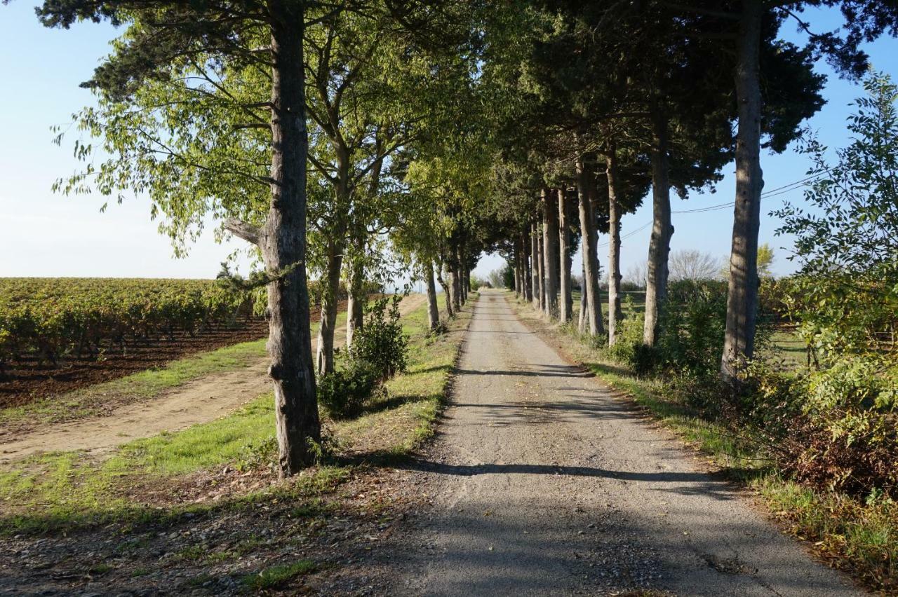 Le Clos Des Troubadours Pennautier Exteriér fotografie