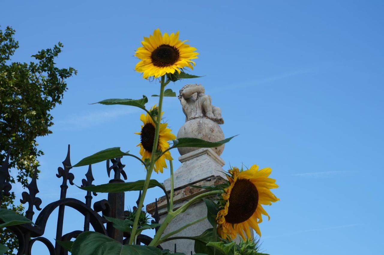 Le Clos Des Troubadours Pennautier Exteriér fotografie